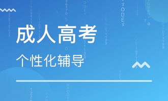 涉县正规远程教育 尚程供应